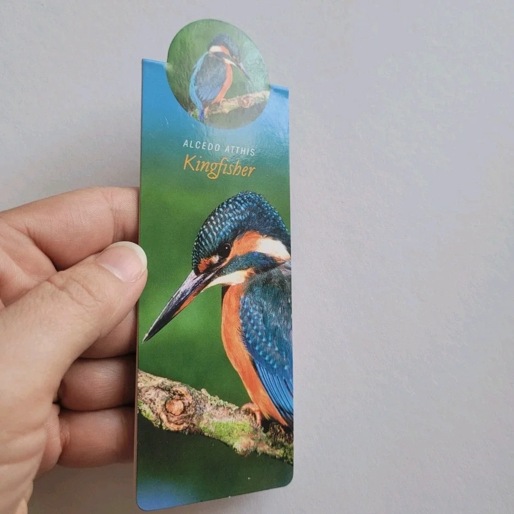 Cardmarks Kingfisher Bird Wild Nature Magnetic Magnet UK Company If 2402 Y2k 00s